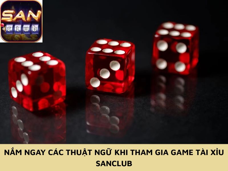 Nắm ngay các thuật ngữ khi tham gia game tài xỉu Sanclub